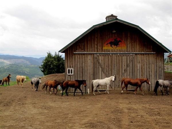 Bull Hill Guest Ranch Hotell Marble Exteriör bild