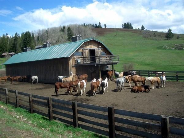 Bull Hill Guest Ranch Hotell Marble Exteriör bild